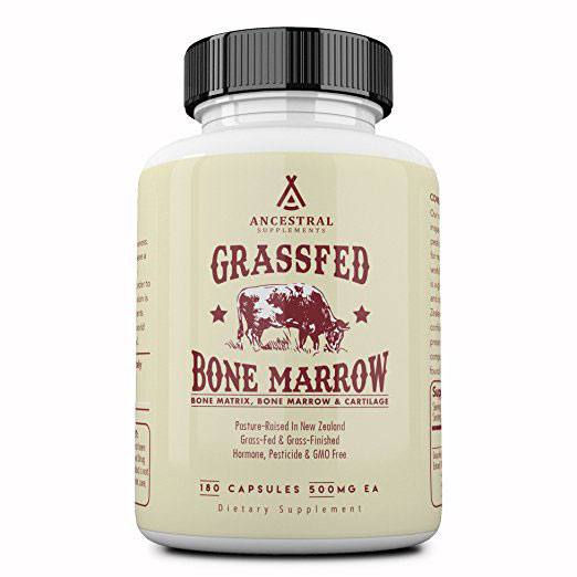 bone-marrow-1