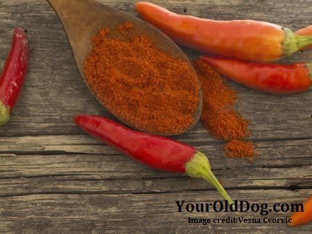 dried cayenne pepper for dogs