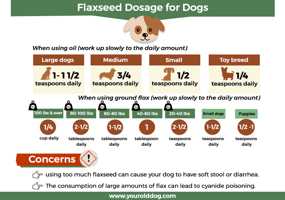 flaxseed dosage for dogs
