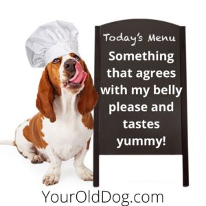food for dogs with allergies
