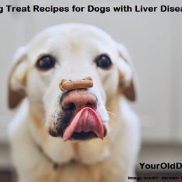 dog treat recipes for dogs with liver disease