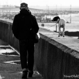 Walking Your Dog: 6 Reasons To Stay Focused